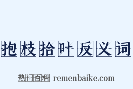抱枝拾叶反义词是什么意思的图片